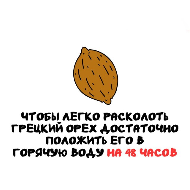 Интересные факты на все случаи жизни