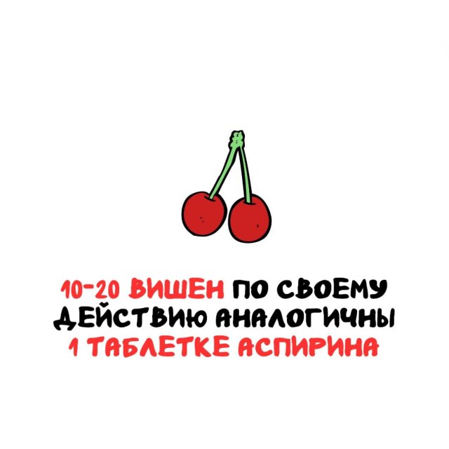 Интересные факты на все случаи жизни