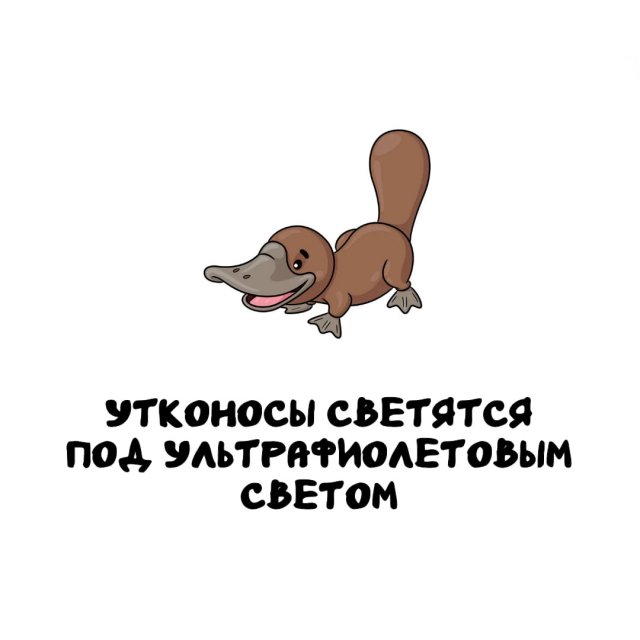 Интересные факты на все случаи жизни