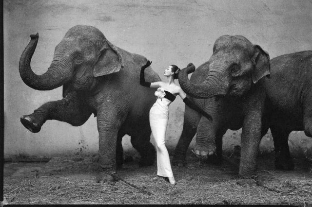 Солянка из интересных ретро-снимков