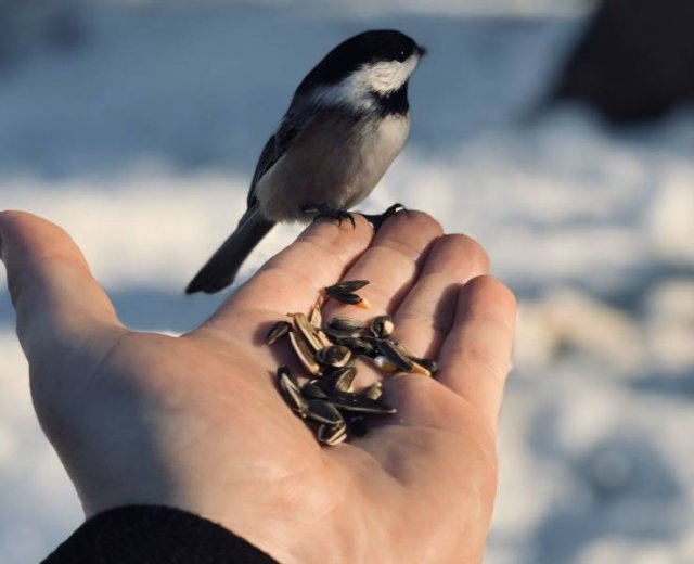 Подборка картинок. Вечерний выпуск - 04.11.2025