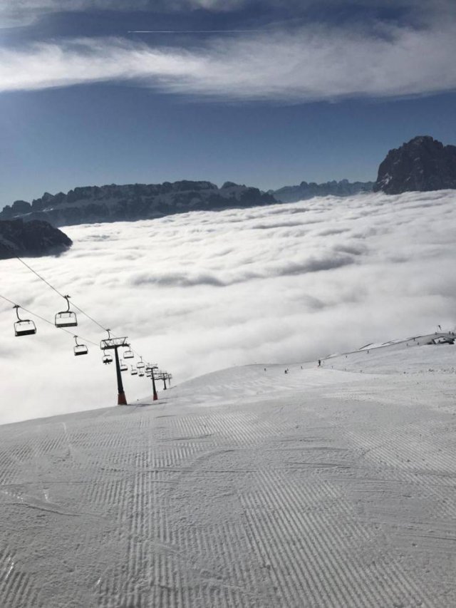 Подборка картинок. Вечерний выпуск - 04.11.2025