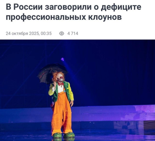 Подборка картинок. Вечерний выпуск - 04.11.2025