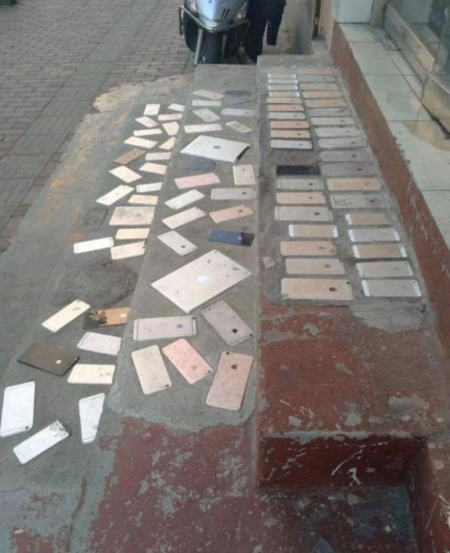 Подборка картинок. Вечерний выпуск - 04.11.2025