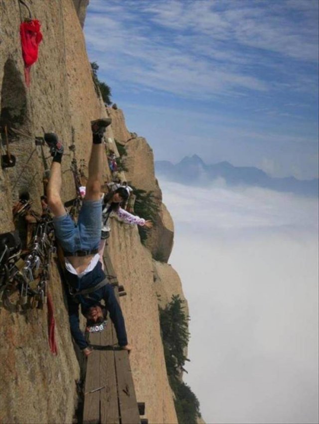 Подборка картинок. Вечерний выпуск - 04.11.2025