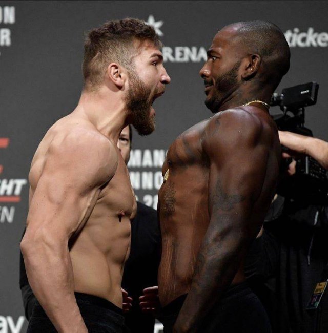 Подборка картинок. Вечерний выпуск - 04.11.2025