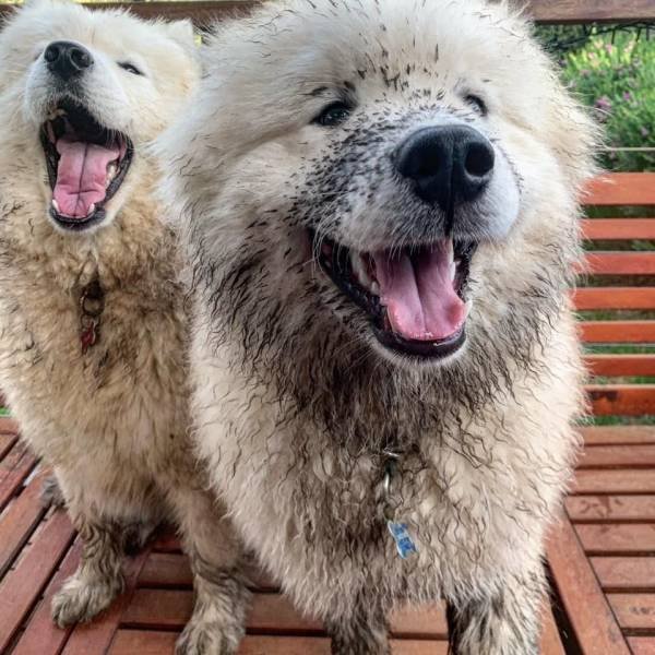 Подборка картинок. Вечерний выпуск - 04.11.2025