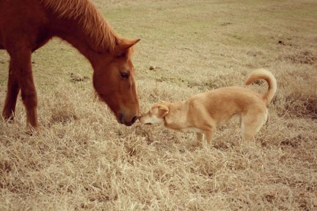 Подборка картинок. Вечерний выпуск - 04.11.2025