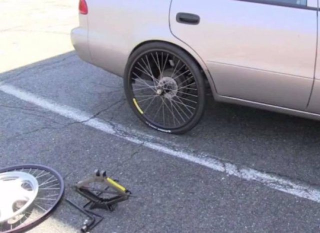 Подборка картинок. Вечерний выпуск - 04.11.2025