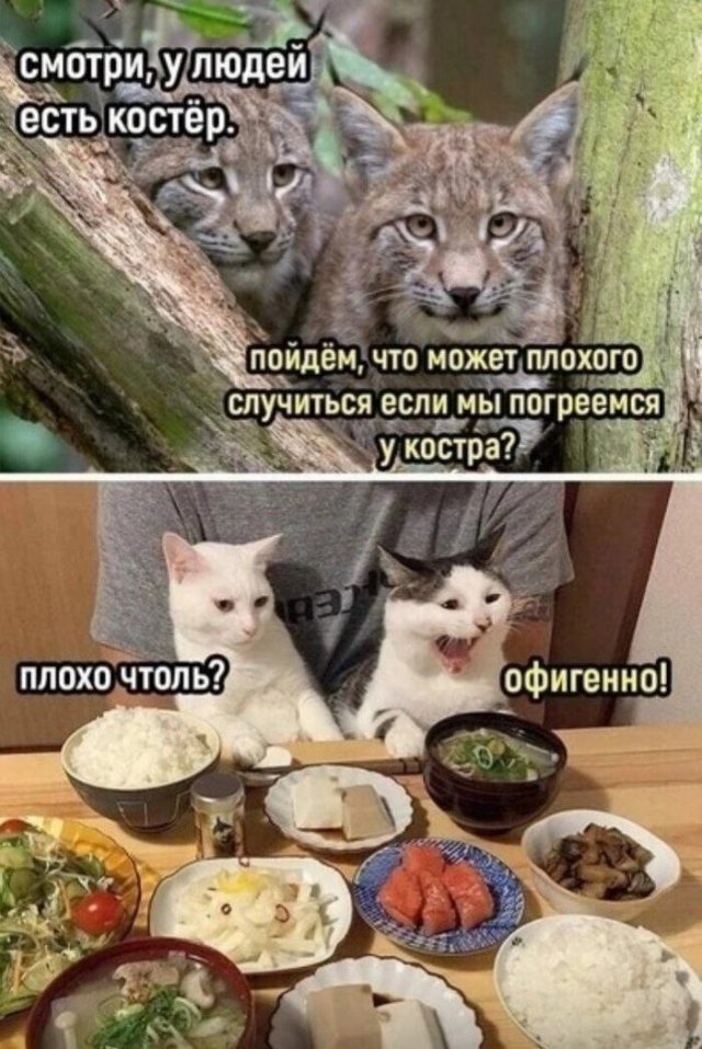 Смешные мемы - 04.11.2025