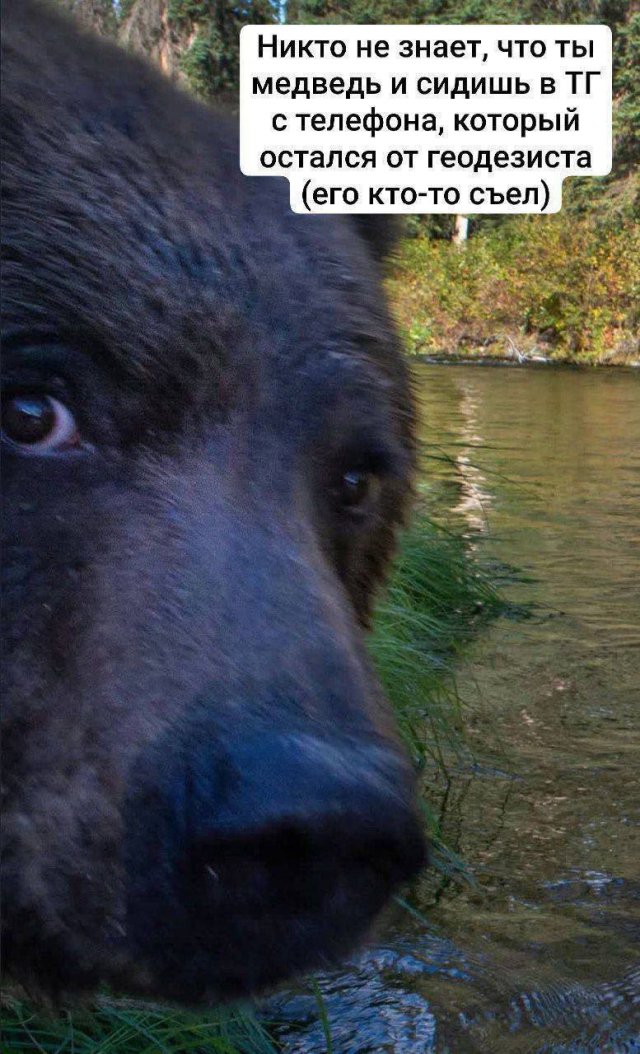 Смешные мемы - 04.11.2025