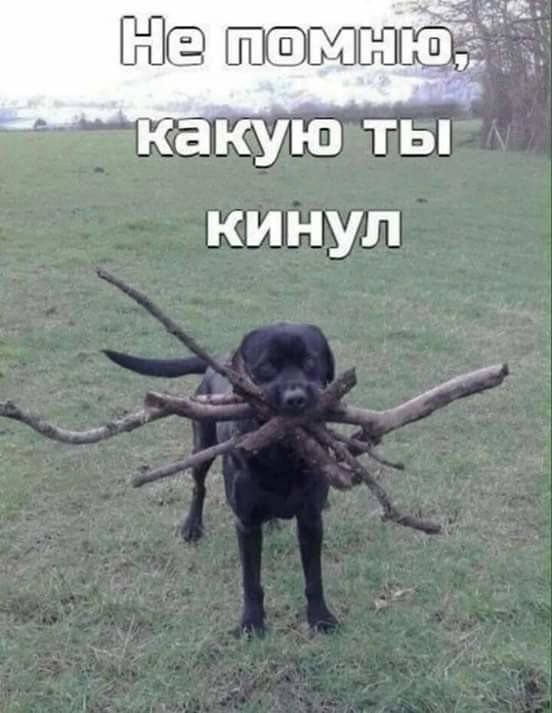 Смешные мемы - 04.11.2025