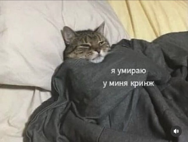 Смешные мемы - 04.11.2025