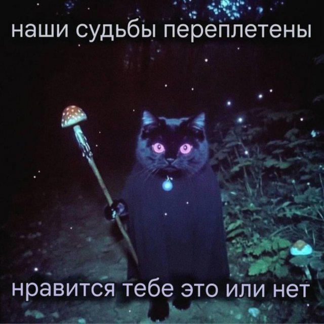 Смешные мемы - 04.11.2025