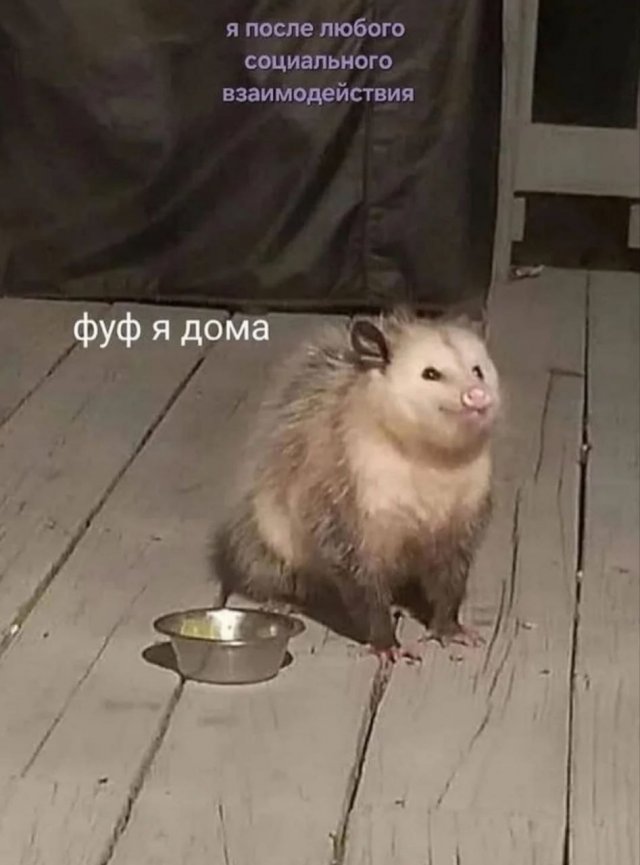 Смешные мемы - 05.11.2025