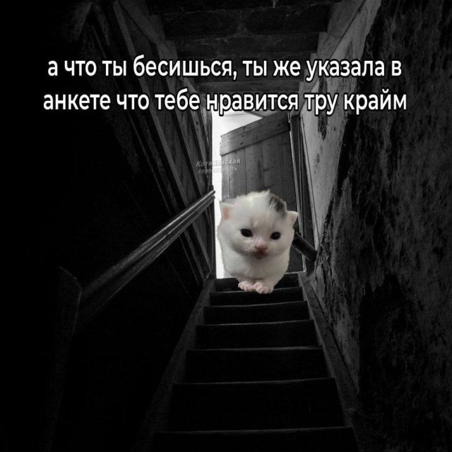 Смешные мемы - 05.11.2025