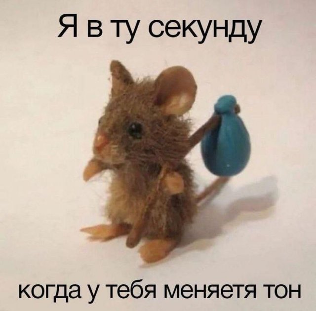 Смешные мемы - 05.11.2025