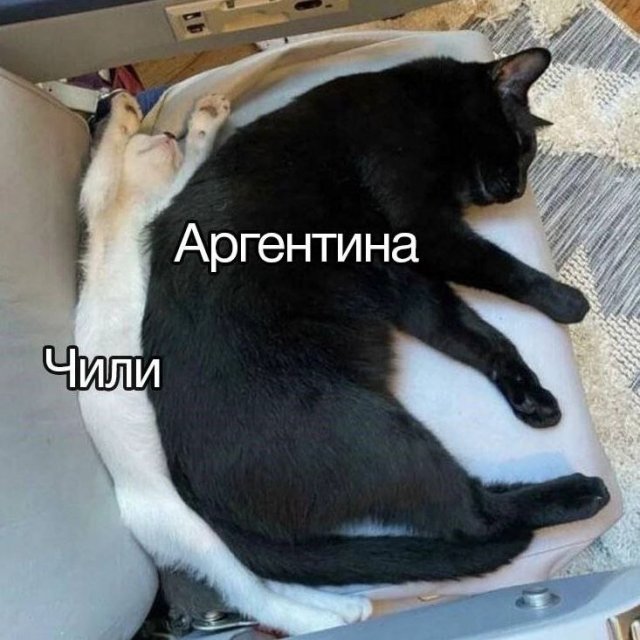 Смешные мемы - 05.11.2025