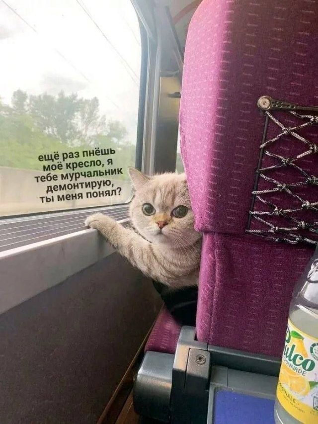 Смешные мемы - 05.11.2025