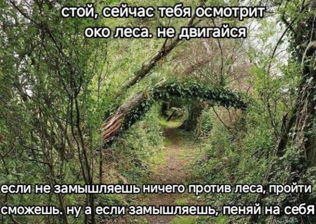 Смешные мемы - 05.11.2025