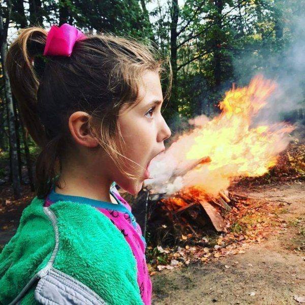 Подборка картинок. Вечерний выпуск - 05.11.2025