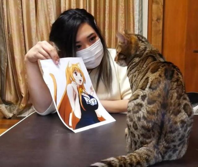 Подборка картинок. Вечерний выпуск - 05.11.2025