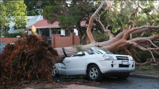Подборка картинок. Вечерний выпуск - 05.11.2025