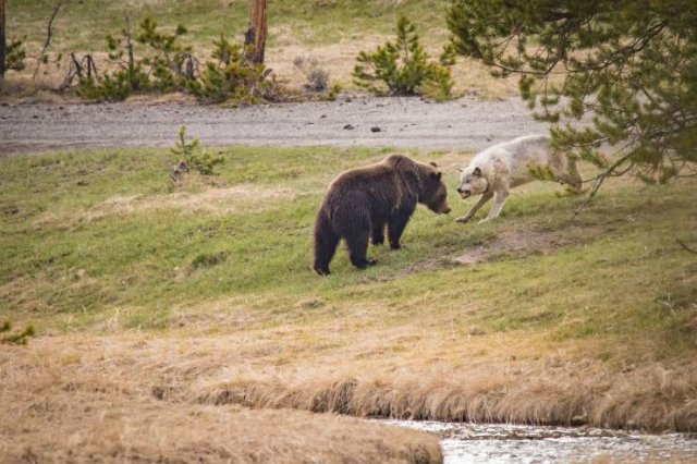 Подборка картинок. Вечерний выпуск - 05.11.2025