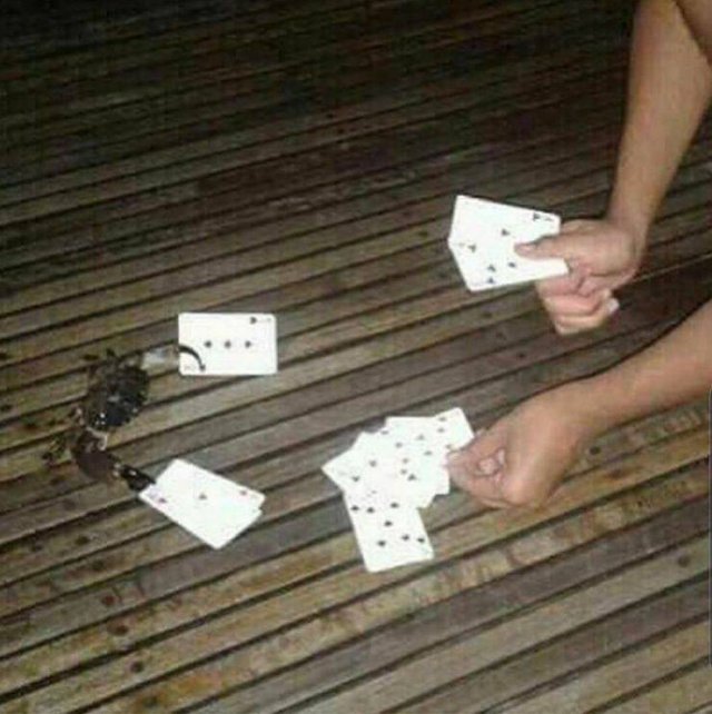 Подборка картинок. Вечерний выпуск - 05.11.2025