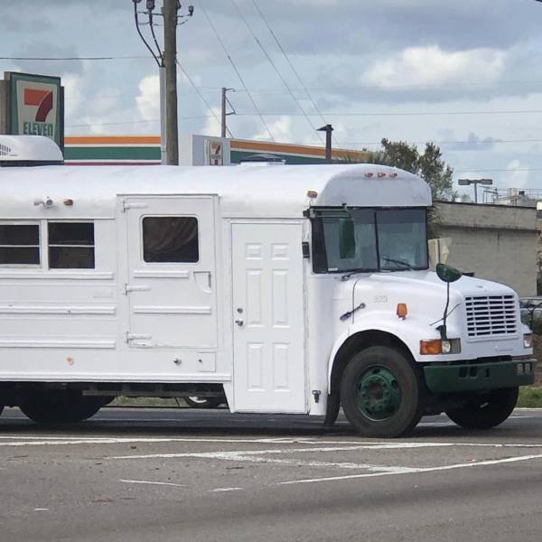 Подборка картинок. Вечерний выпуск - 05.11.2025