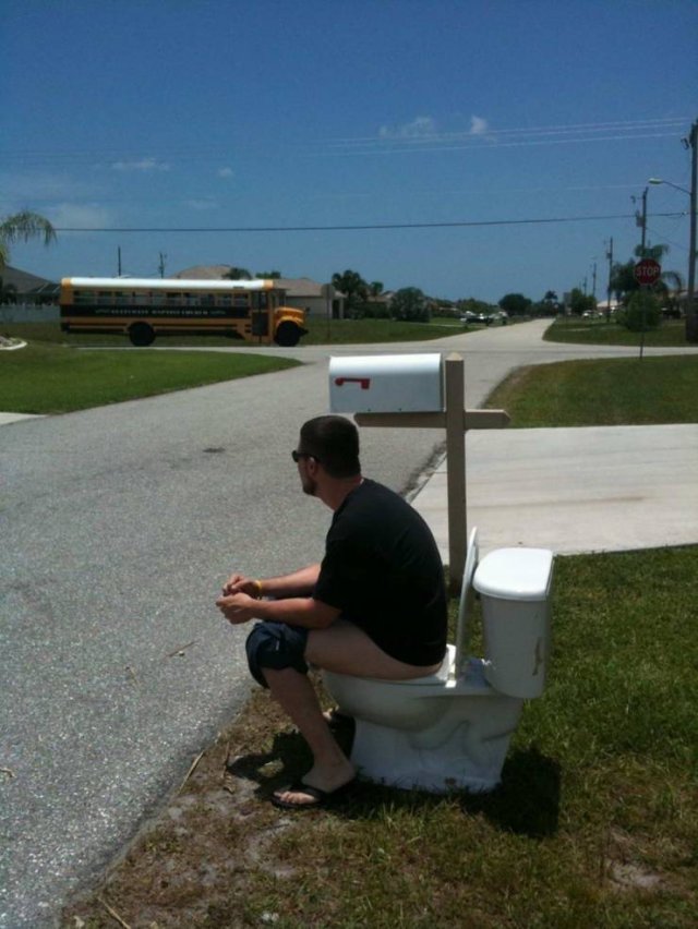 Подборка картинок. Вечерний выпуск - 05.11.2025