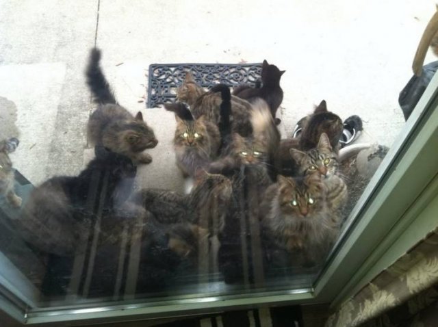 Подборка картинок. Вечерний выпуск - 05.11.2025