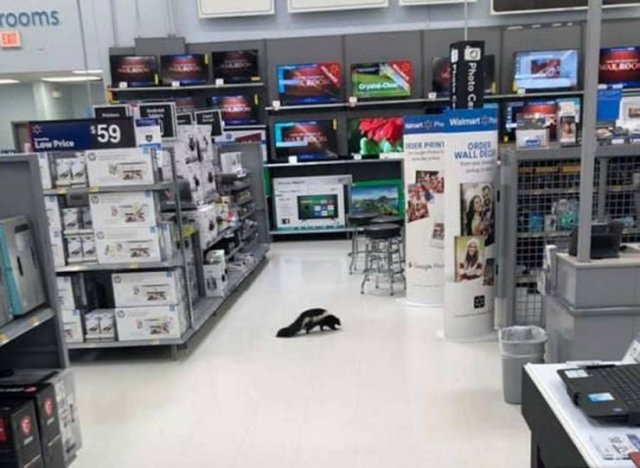 Подборка картинок. Вечерний выпуск - 05.11.2025