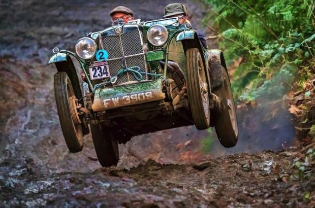 Подборка картинок. Вечерний выпуск - 05.11.2025