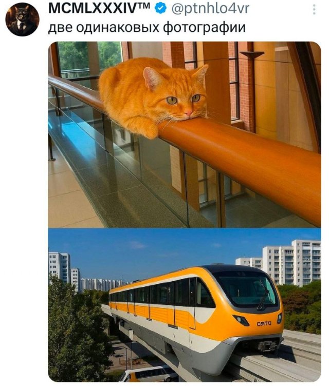 Подборка забавных твитов обо всем