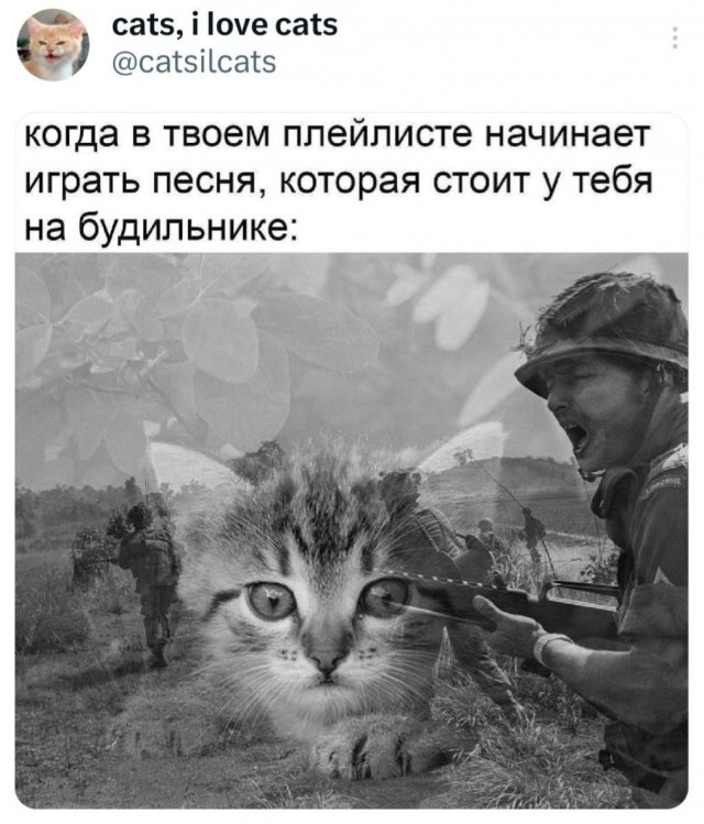 Подборка забавных твитов обо всем