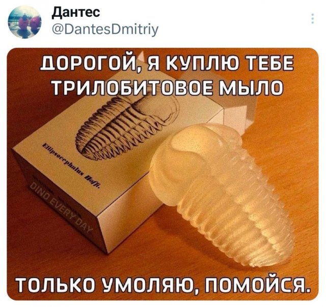 Подборка забавных твитов обо всем