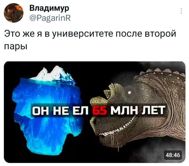 Подборка забавных твитов обо всем