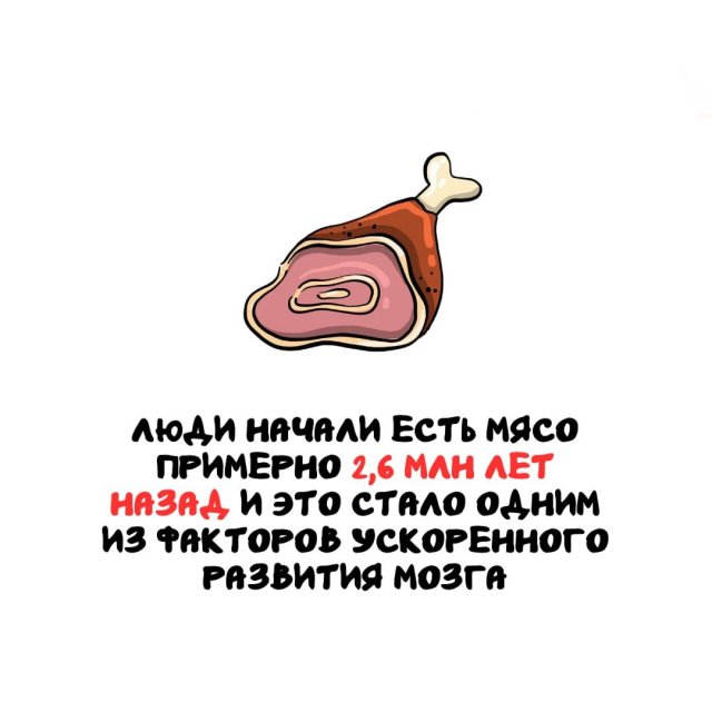 Интересные факты на все случаи жизни