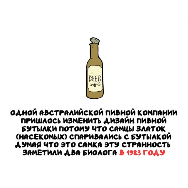 Интересные факты на все случаи жизни