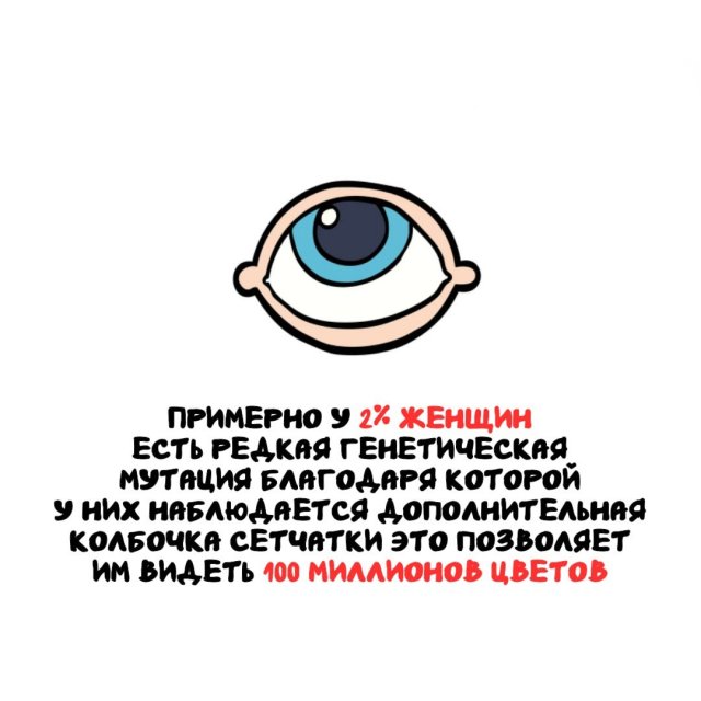 Интересные факты на все случаи жизни