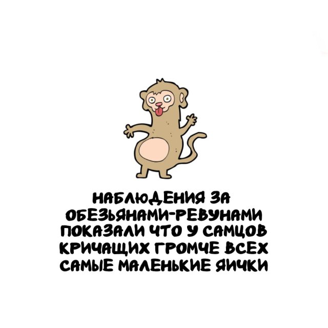 Интересные факты на все случаи жизни