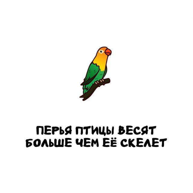 Интересные факты на все случаи жизни