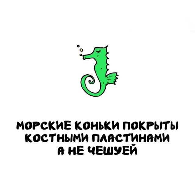 Интересные факты на все случаи жизни