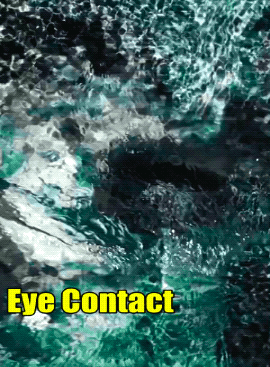 Подборка гифок -  05.11.2025