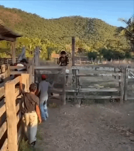 Подборка гифок -  05.11.2025