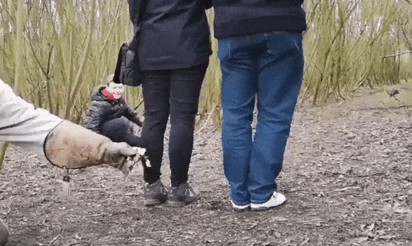 Подборка гифок -  05.11.2025