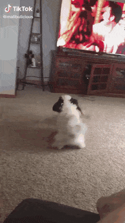 Подборка гифок -  05.11.2025