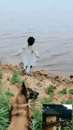 Подборка гифок -  05.11.2025