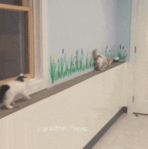 Подборка гифок -  05.11.2025